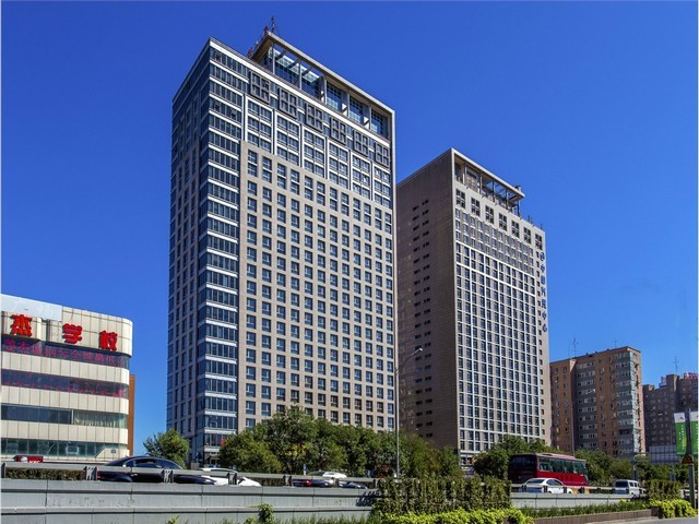 陕西茉莉花花茶种类