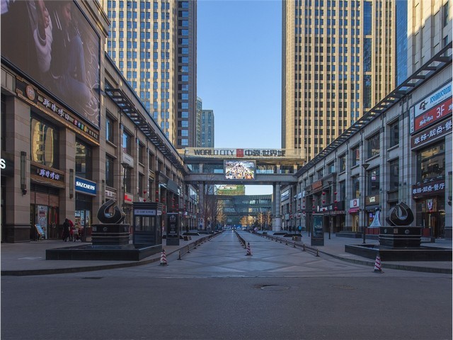 商务花卉租赁价格